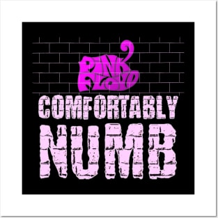 COMFORTABLY NUMB (PINK FLOYD) Posters and Art